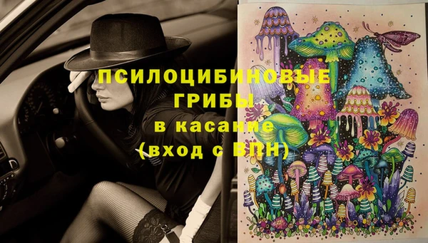 каннабис Верея